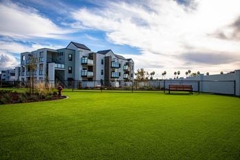 Dog park & pet spa